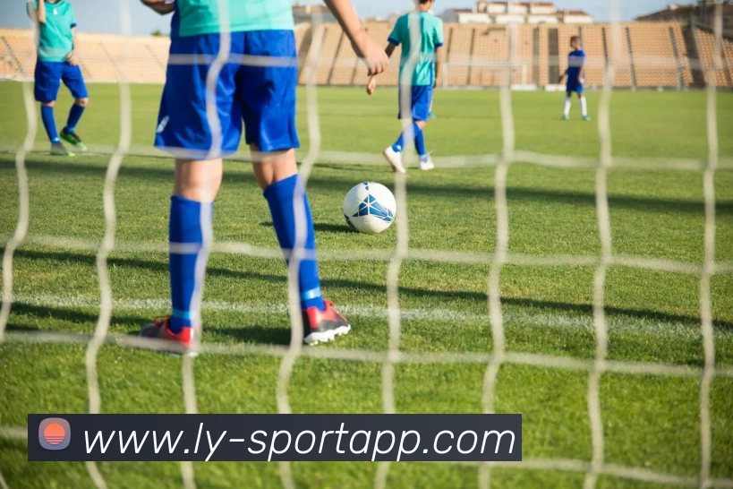 乐鱼体育APP 封面图