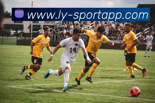 数据防护可视化